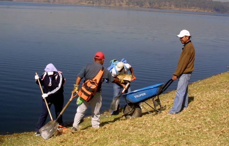 48 hectáreas de Cuautitlán Izcalli serán reforestadas