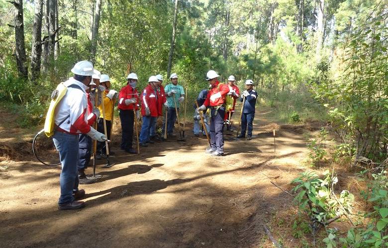 Capacita probosque a municipios para prevenir y combatir incendios forestales