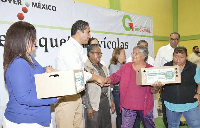 Beneficia gobierno a mil familias con la entrega de paquetes avícolas