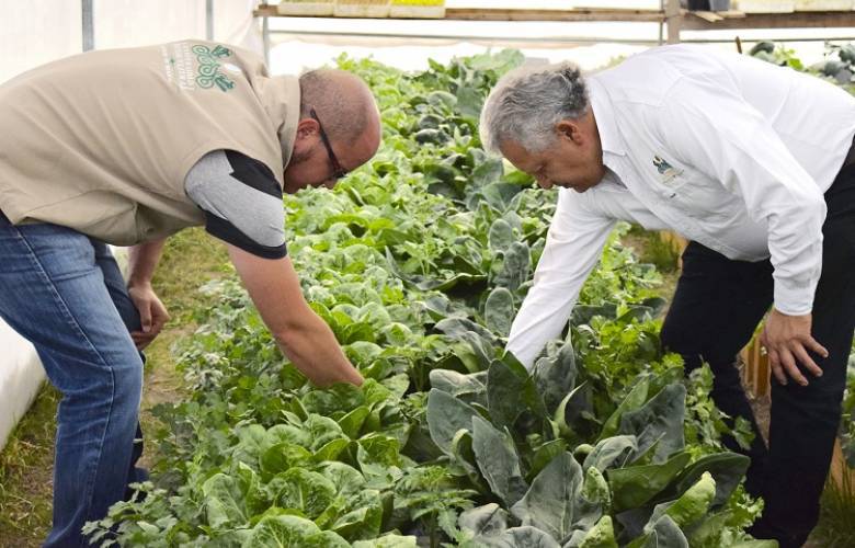 Beneficia cosecha de hortalizas de la UIEM y el banco de alimentos a la región norte del Edoméx