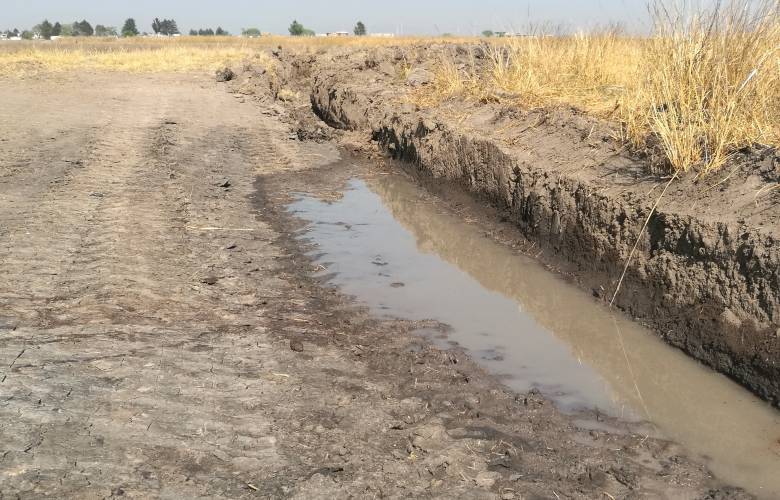 La fétida herencia del Rastro de Ixtlahuaca