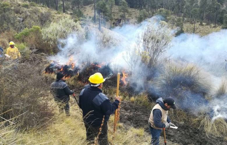 Brinda PROBOSQUE capacitación para prevenir y combatir incendios