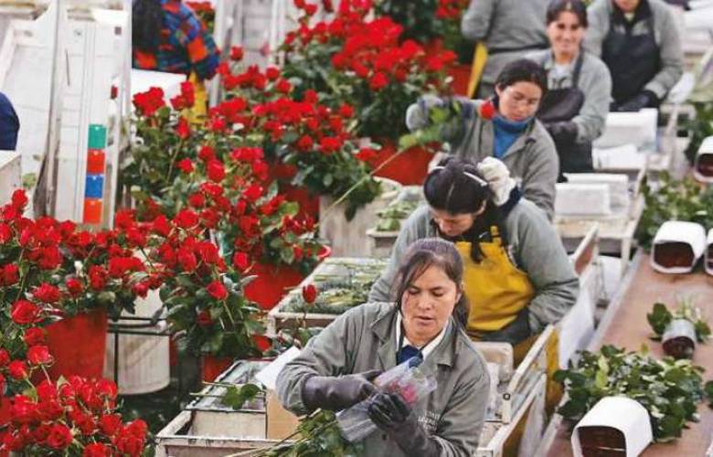 Destinan 4 mil 558 hectáreas de flor para Día de las Madres