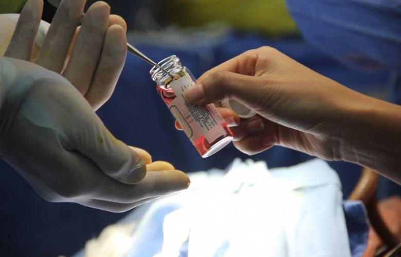 IMSS prevé aumentar en 14 por ciento las donaciones y 10 por ciento los trasplantes al año