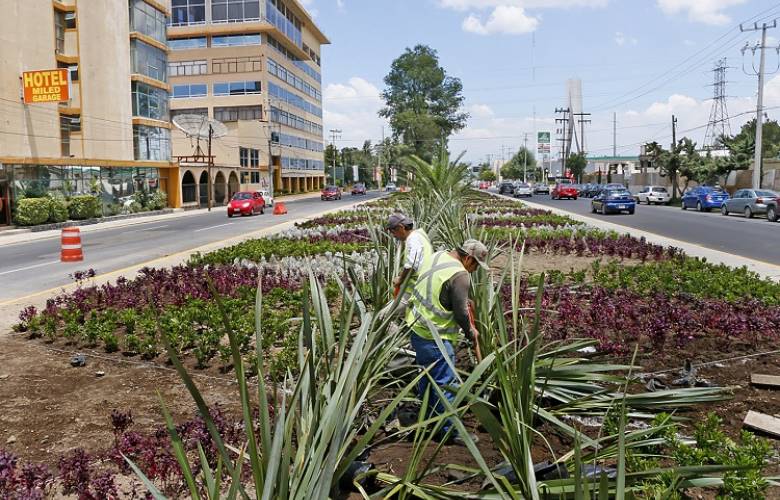 Trabaja Toluca en el embellecimiento de accesos principales