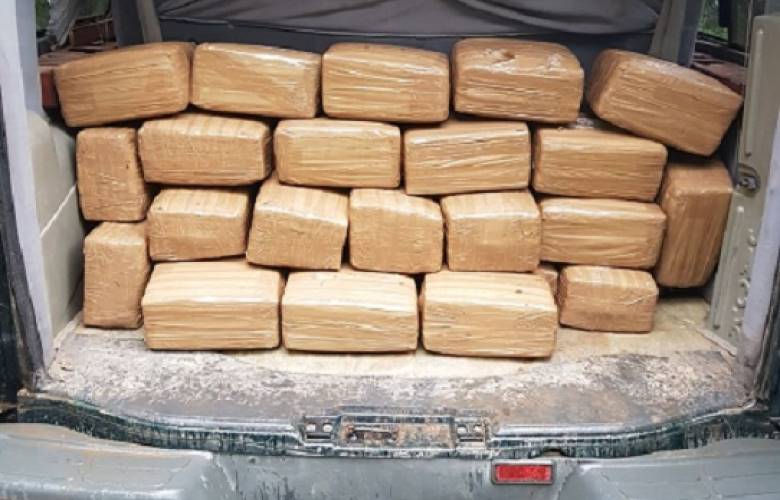 Aseguran integrantes del grupo de coordinación operativa (gco), en Zacazonapan 180 kilogramos de droga y detienen a tres personas