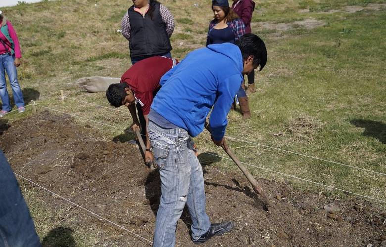 Alumnos de huehuetoca de la UAEM desarrollan agroclúster