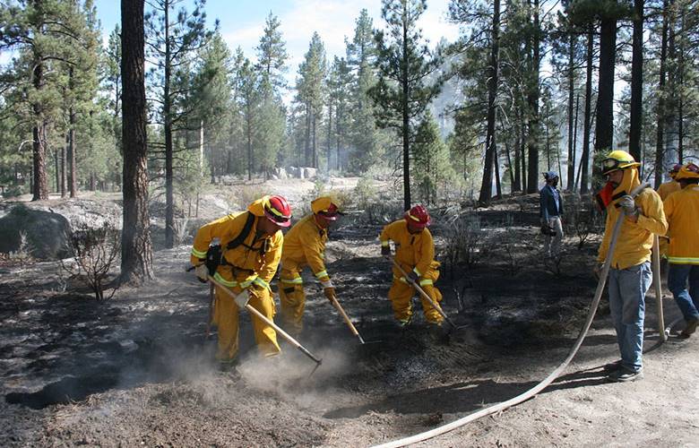 Afectan incendios forestales  arbustos y matorrales