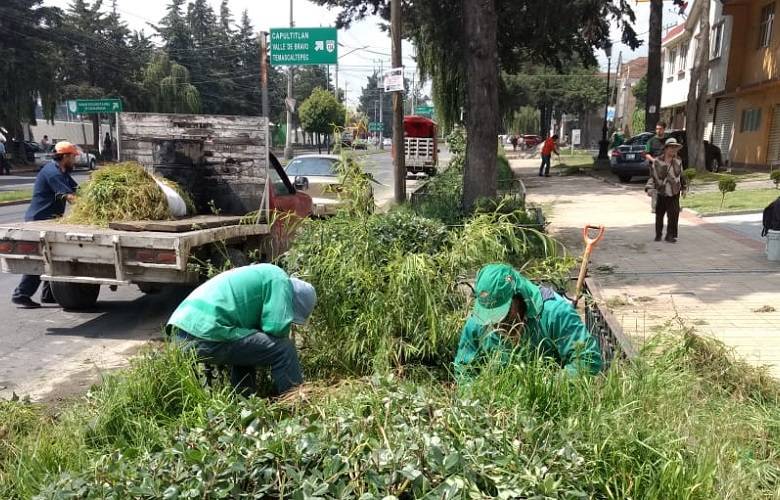 Continúa mantenimiento en áreas verdes de la capital mexiquense