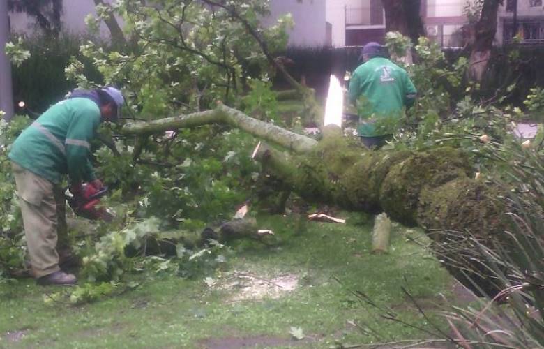 En Toluca sin afectaciones graves por lluvias de las últimas horas