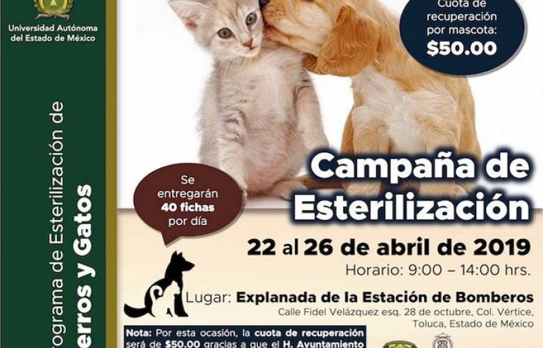 Trabajan Toluca y UAEMéx para reducir población de animales en situación de calle