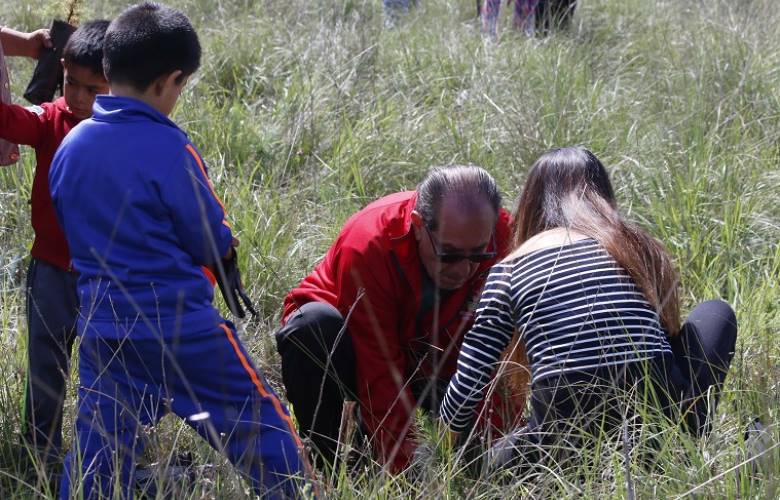  Impulsa Toluca acciones para revertir efectos del cambio climático