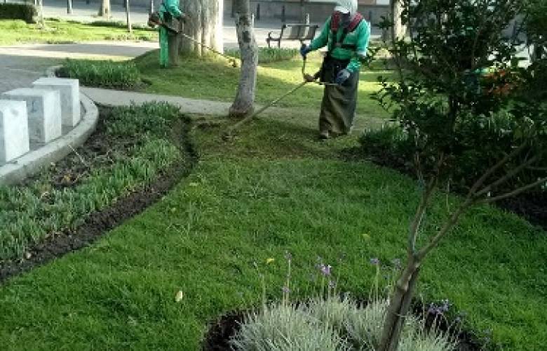 Permanente mantenimiento de áreas verdes en Toluca 