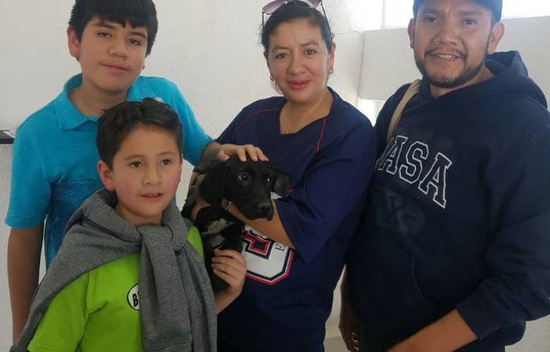 Ofrece Metepec campaña permanente  de esterilización en el Centro de Control Canino y Felino