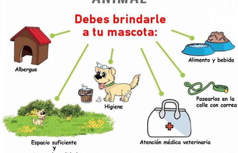 PIensa en esto antes de adoptar una mascota