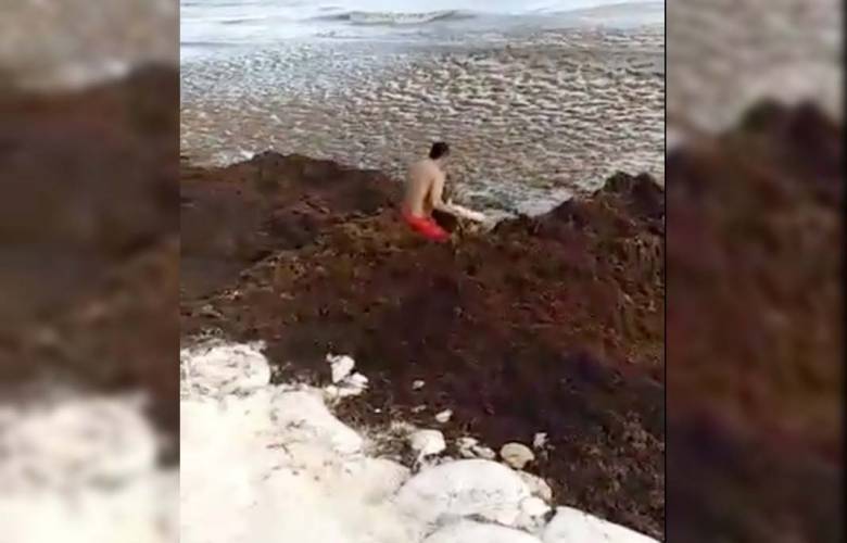 Rescatan a turista en medio del sargazo