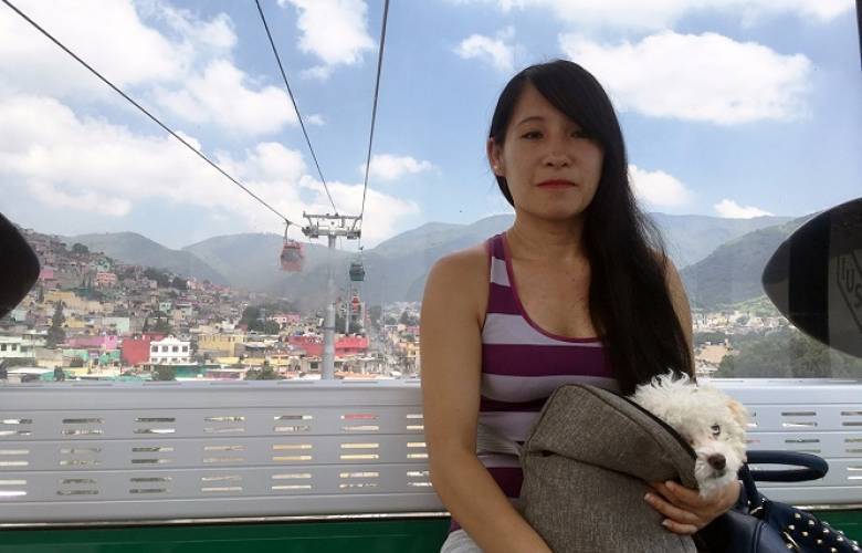 Es Mexicable transporte amigable para mascotas