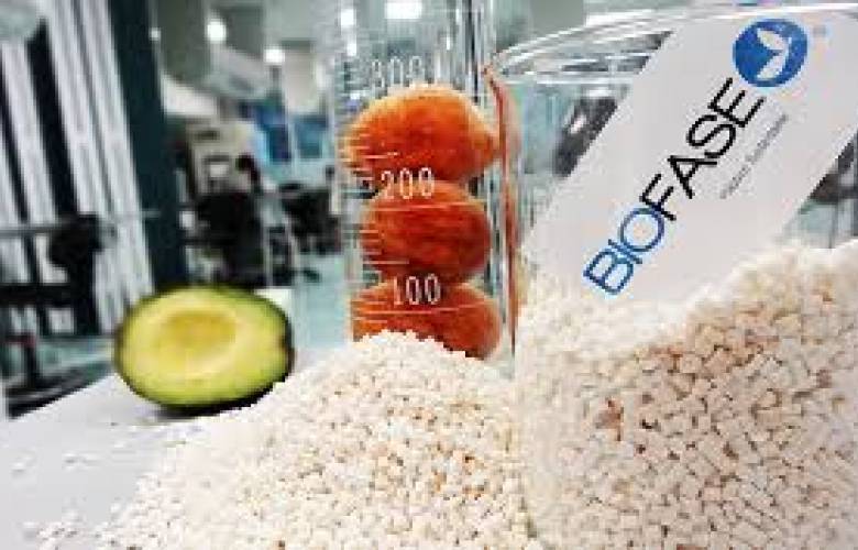 Popotes de semilla de aguacate en pro del Medio Ambiente