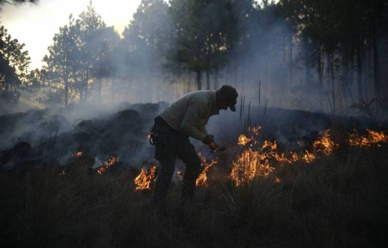 Más de 2 mil brigadistas combaten incendios forestales en territorio mexiquense 