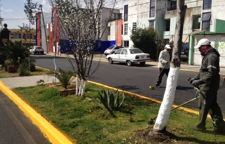Entra el municipio al arreglo de áreas verdes en infonavit san francisco