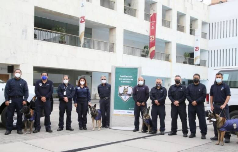 Se jubilan sensores caninos de Aduanas, importantes en el combate a la corrupción