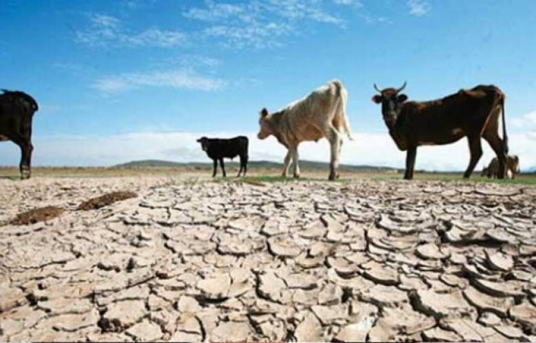 Alerta Conagua municipios con sequía en México