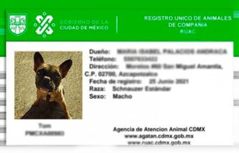 CDMX: Sé un dueño responsable y tramita la 