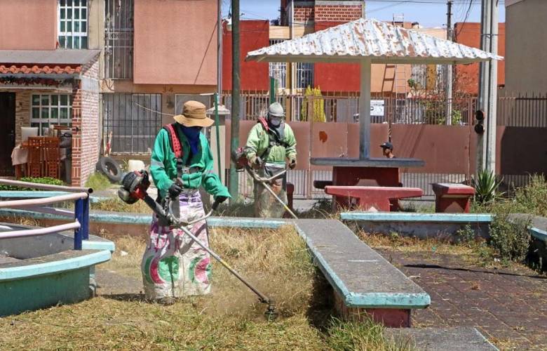 OMS pide que haya más áreas verdes, cada vez son menos