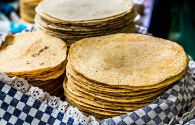 López Obrador estudia abrir importación de maíz para bajarlo