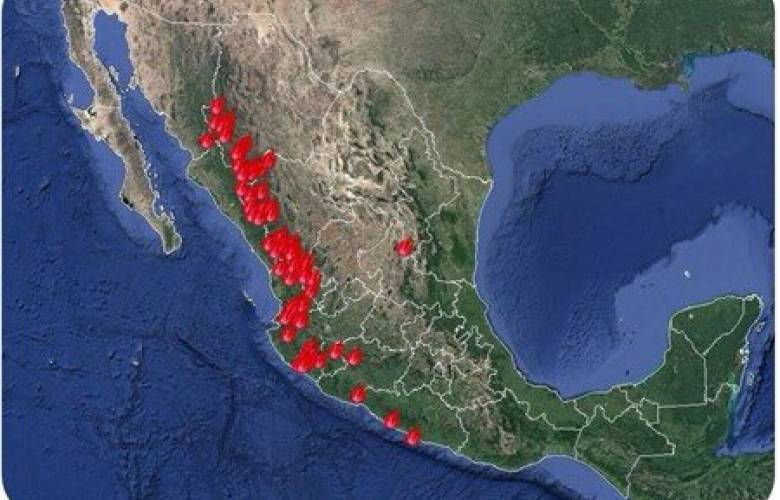 CONAFUR: 69 incendios activos en nueve estados del país la Redacción