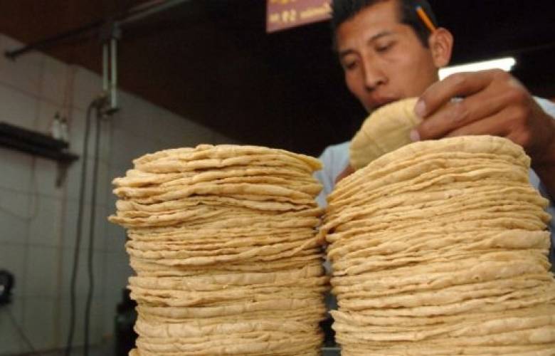 La tortilla podría llegar a los 24 pesos