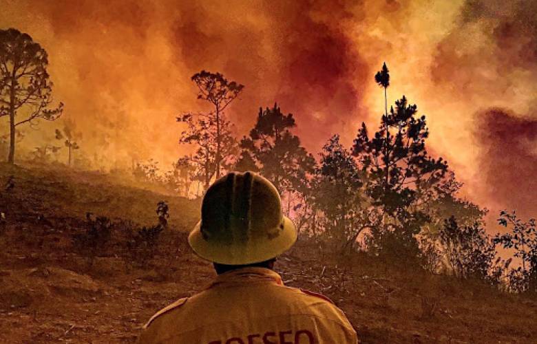 Solicita Oaxaca declaratoria de emergencia en 13 municipios tras incendios Forestales