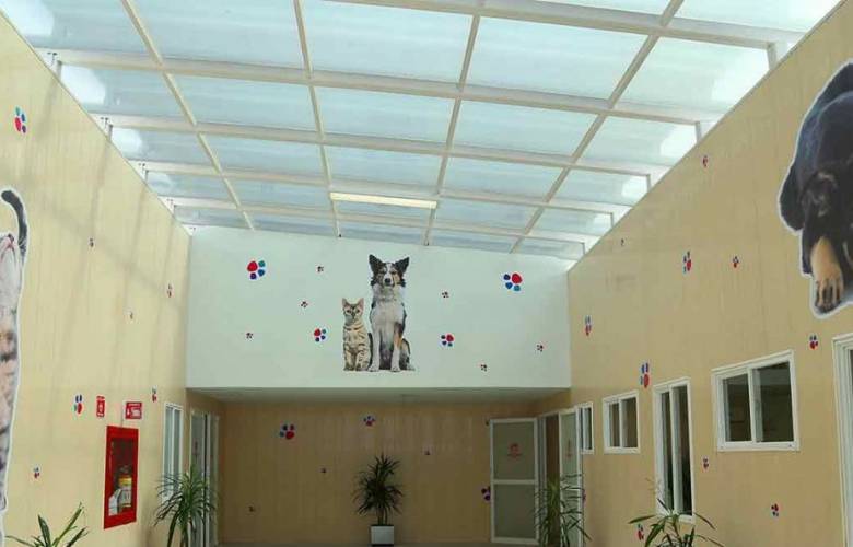 CDMX abre el hospital para animales más grande y equipado de América Latina 