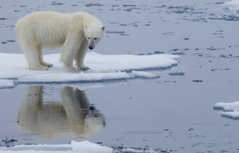 La cumbre para tratar el cambio climático será virtual. 