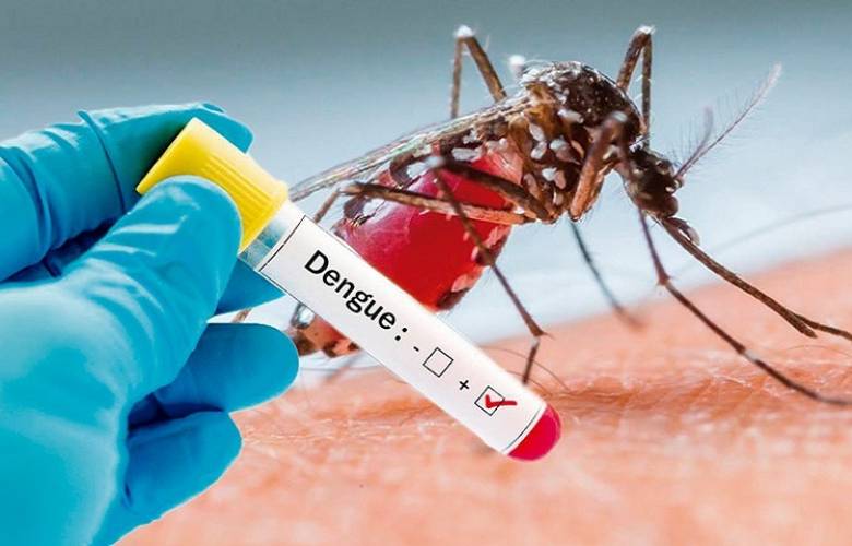 El dengue continúa, las medidas escasas