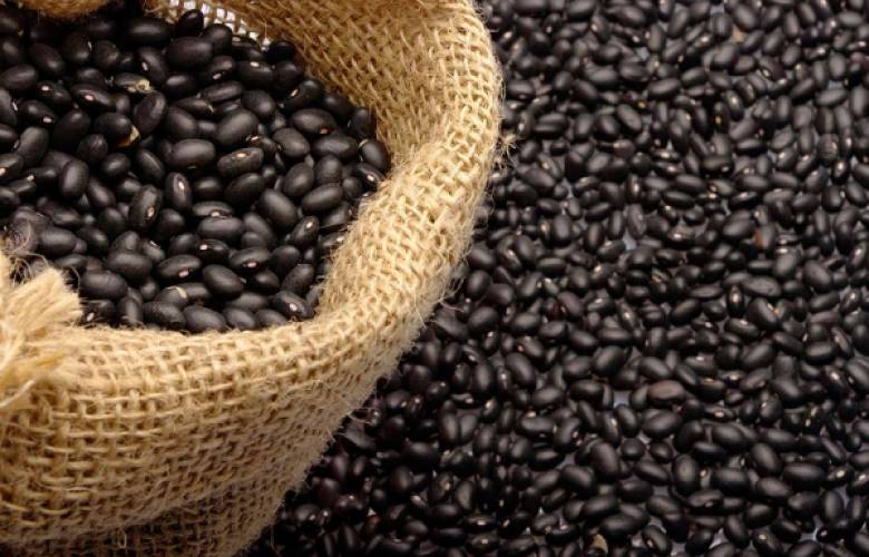 Urge autorizar importación libre de aranceles de frijol negro