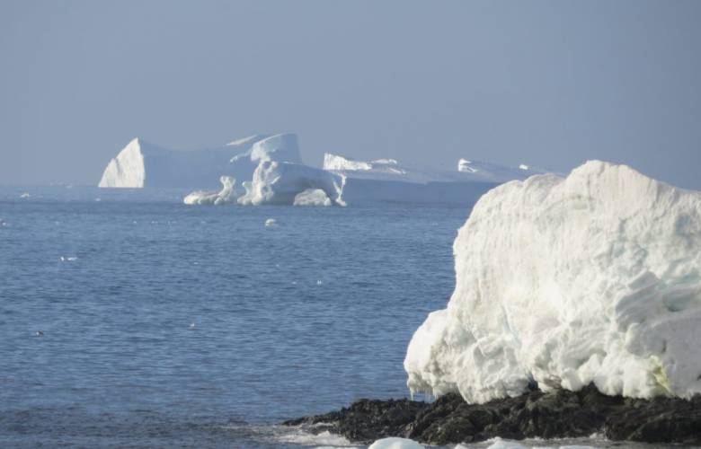 Reconoce National Geographic nuevo océano Austral