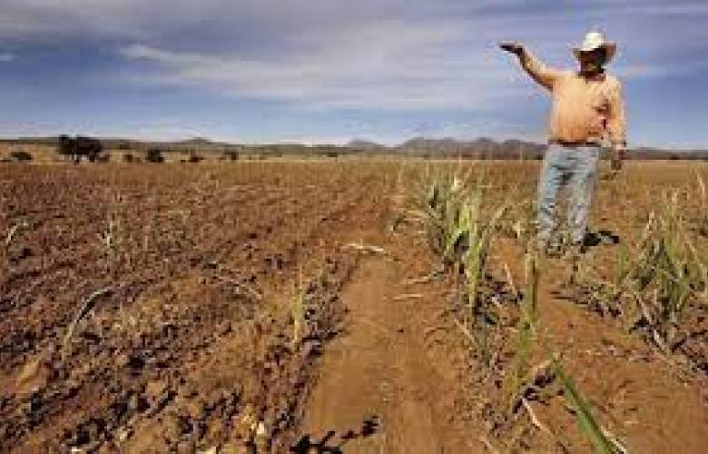 Durango pide declaratoria de emergencia por sequía extrema