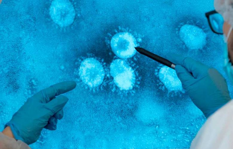 Descubren virus gigantes en el abismo de Challenger 
