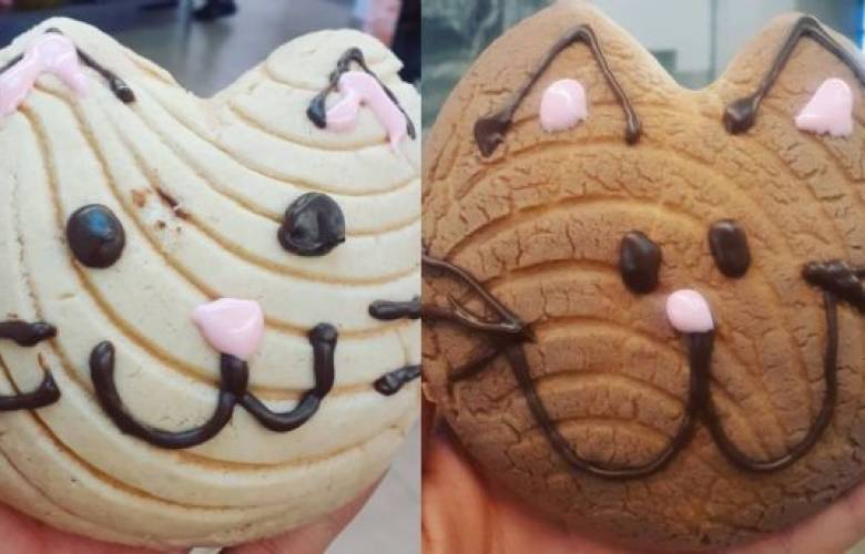 ¡Michi Conchas¡ El pan dulce perfecto si existe y está en CdMx