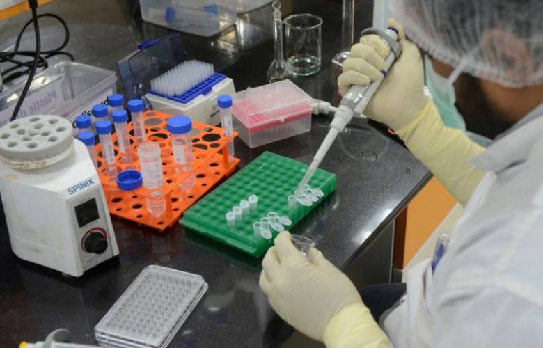 Estudio revela Anticuerpos covid caen en cuatro meses posteriores a vacunaciÃ³n