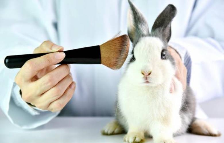 Se convierte en delito probar productos cosméticos en animales