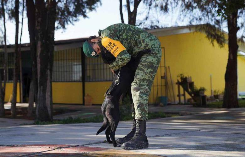 Perritos sin hogar encuentran hogar gracias a militares 