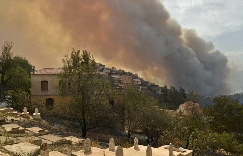 Argelia: Al menos 65 muertos por incendios en la zona norte