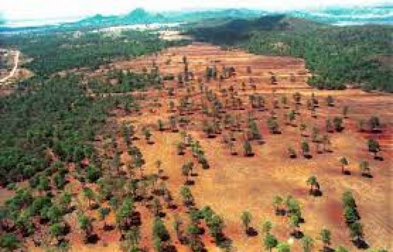 SRE: México firmó este martes el acuerdo para detener la deforestación