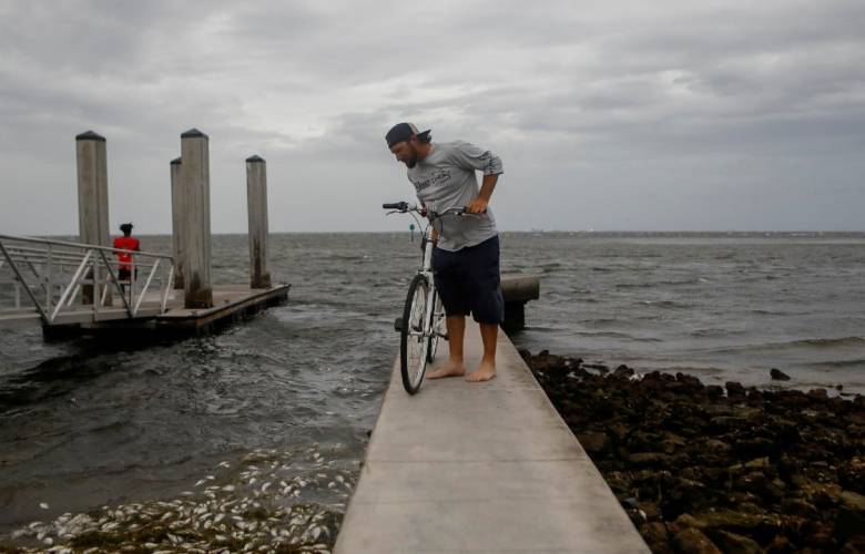 Elsa debilita a tormenta y amenaza a la costa de Florida