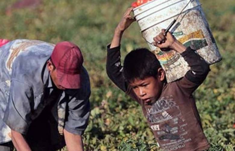 Organizaciones hicieron un llamado a México para erradicar el trabajo infantil
