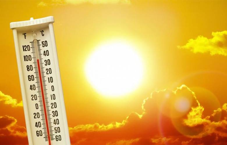 Estudio afirma que 1 de cada 3 muertes se deben a cambio climático