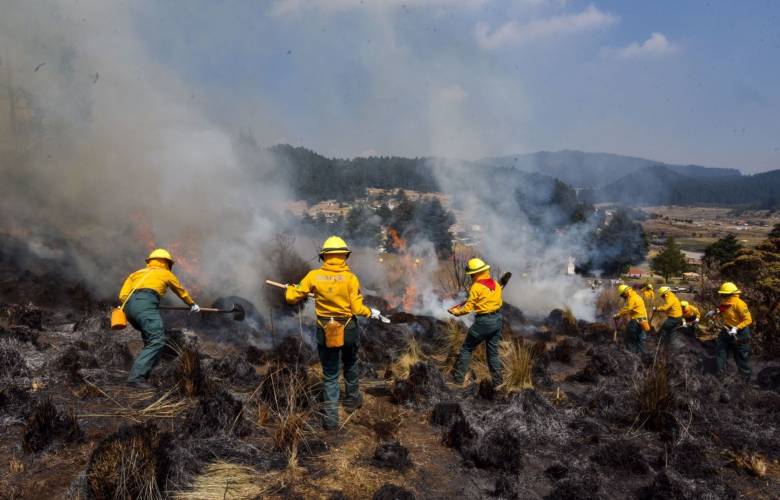 Hasta ahora hay 14 incendios forestales activos en 5 estados de México