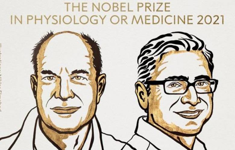 Científicos ganan nobel de medicina por hallar receptores de temperatura y tacto 